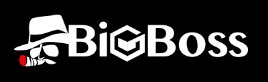 「BigBoss」と書かれた公式ロゴマークの画像