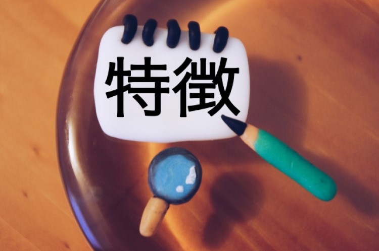「特徴」と書かれたメモ帳と虫眼鏡と鉛筆の画像